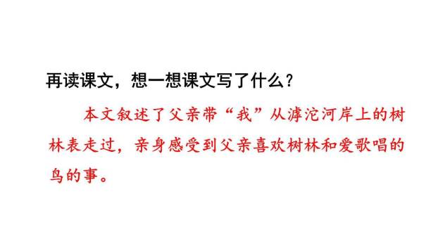 父亲树林和鸟PPT课件85