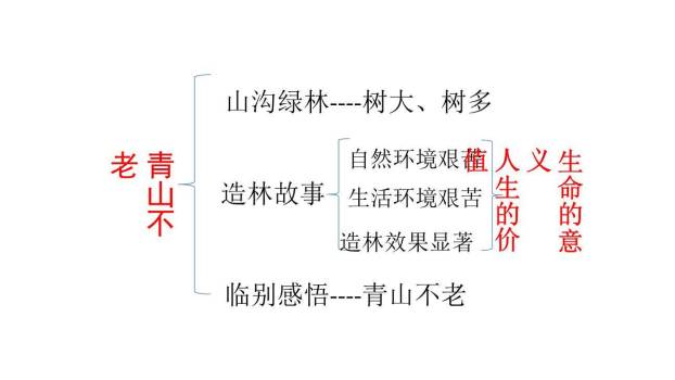 青山不老PPT课件53