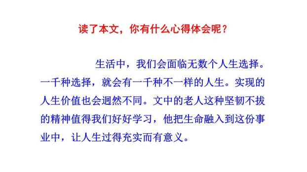 青山不老PPT课件54