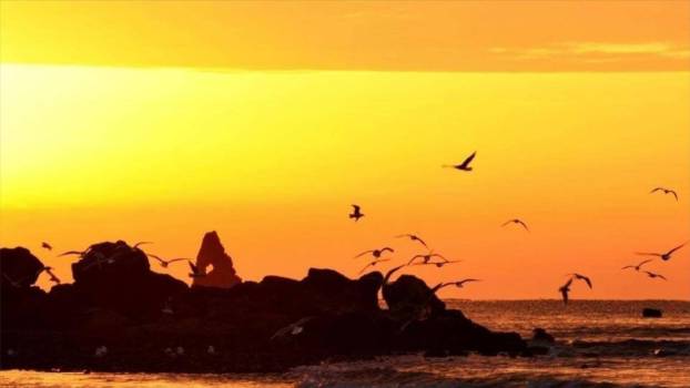 滨海小城PPT课件64