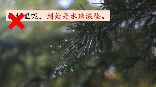 蝴蝶的家PPT课件88