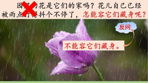 蝴蝶的家PPT课件89