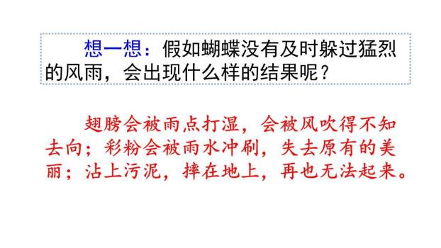 蝴蝶的家PPT课件82