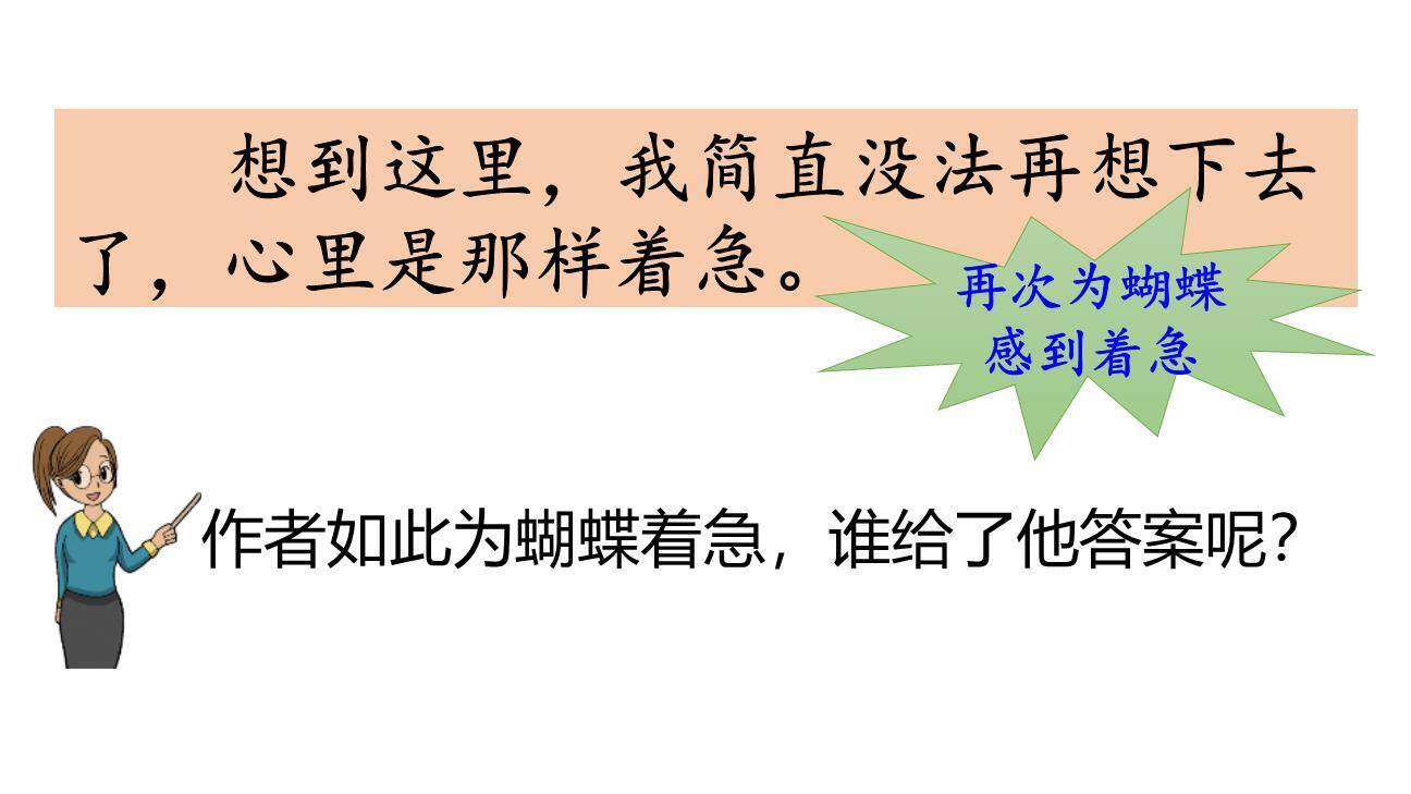 蝴蝶的家PPT课件83