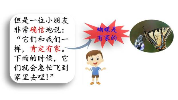 蝴蝶的家PPT课件84