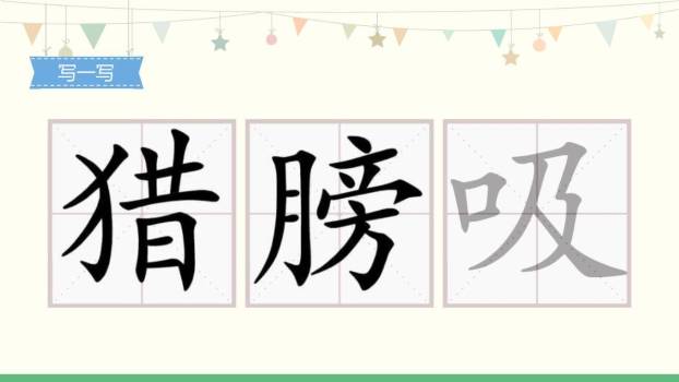 父亲树林和鸟PPT课件48