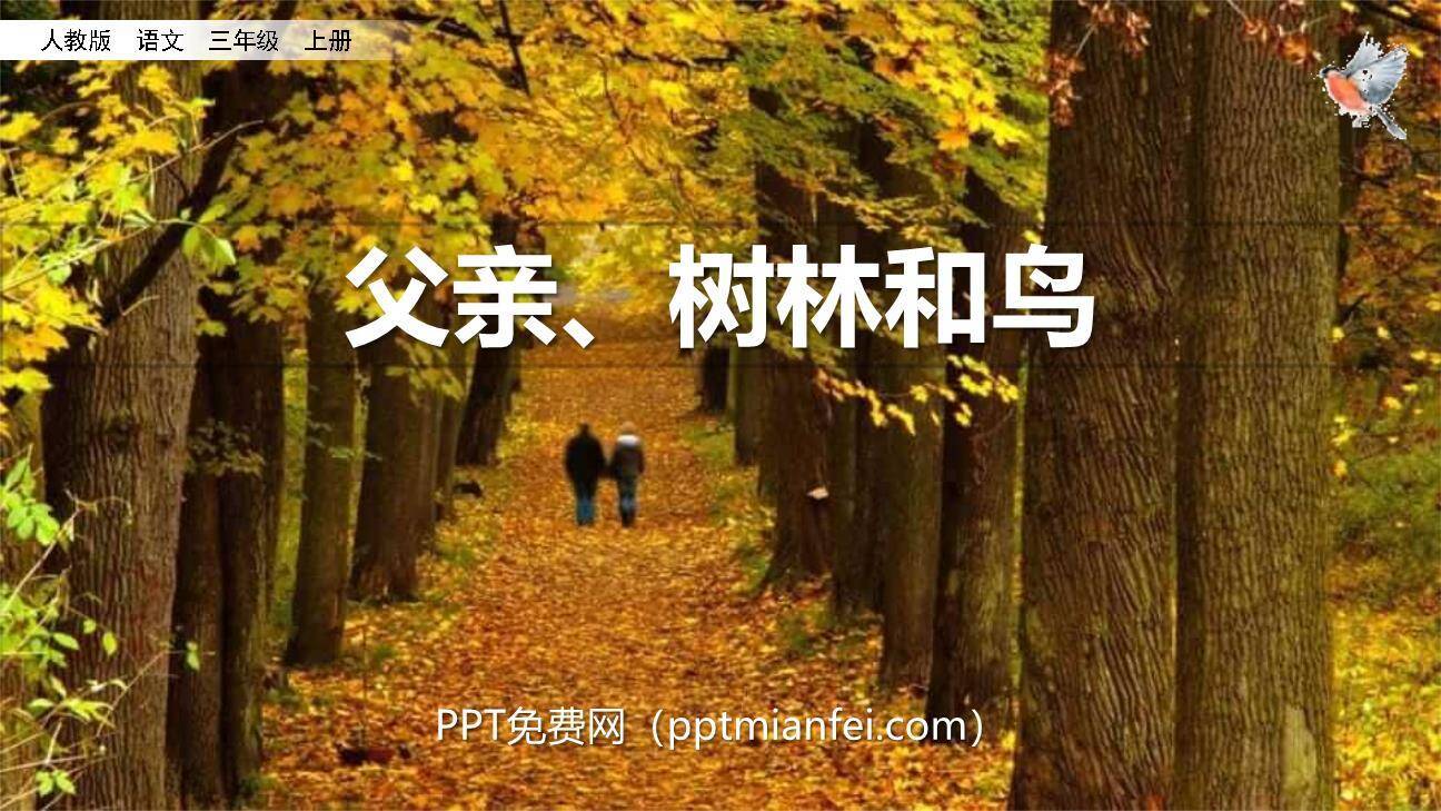 父亲树林和鸟PPT课件40