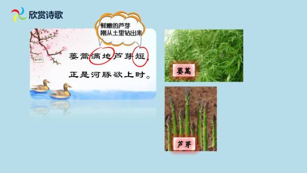 惠崇春江晚景PPT课件12