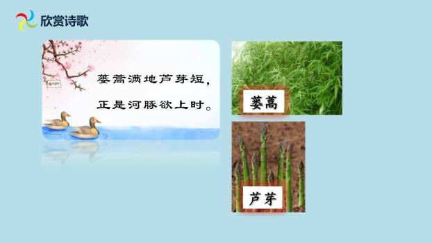 惠崇春江晚景PPT课件15