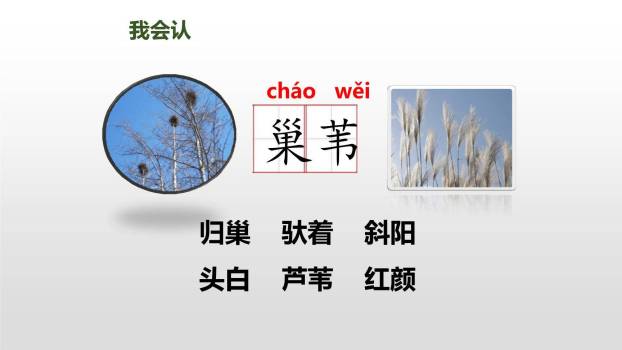 秋晚的江上PPT课件19