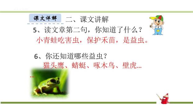 小青蛙PPT课件12