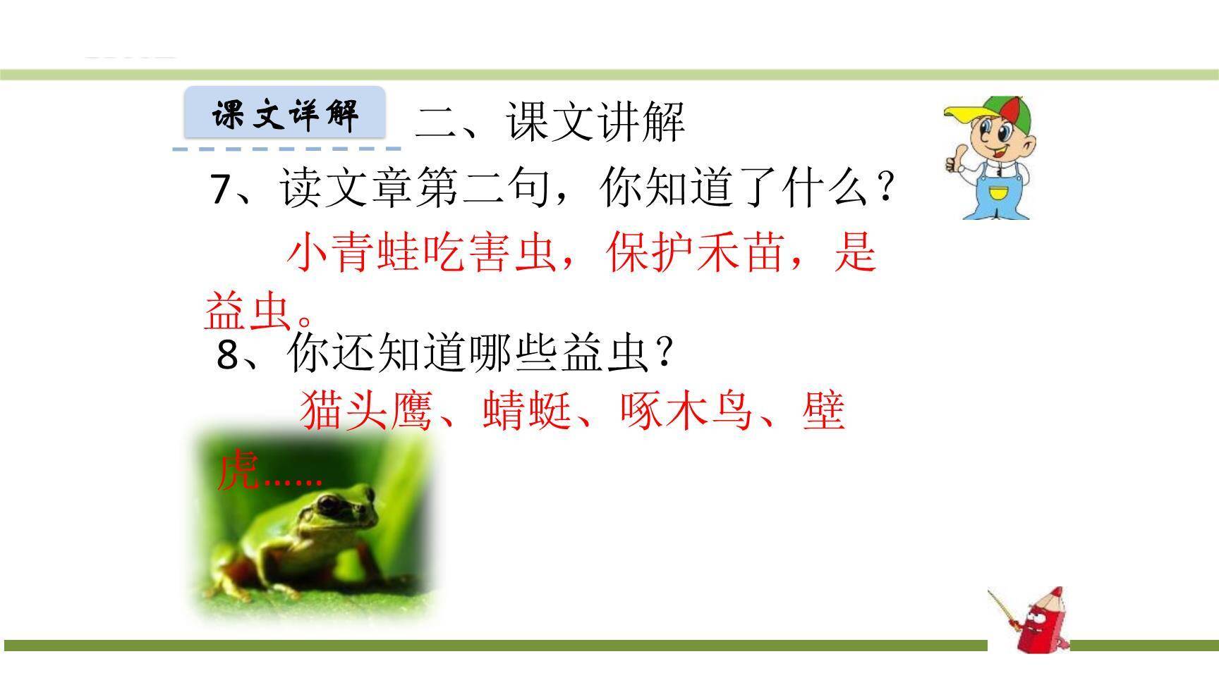 小青蛙PPT课件13