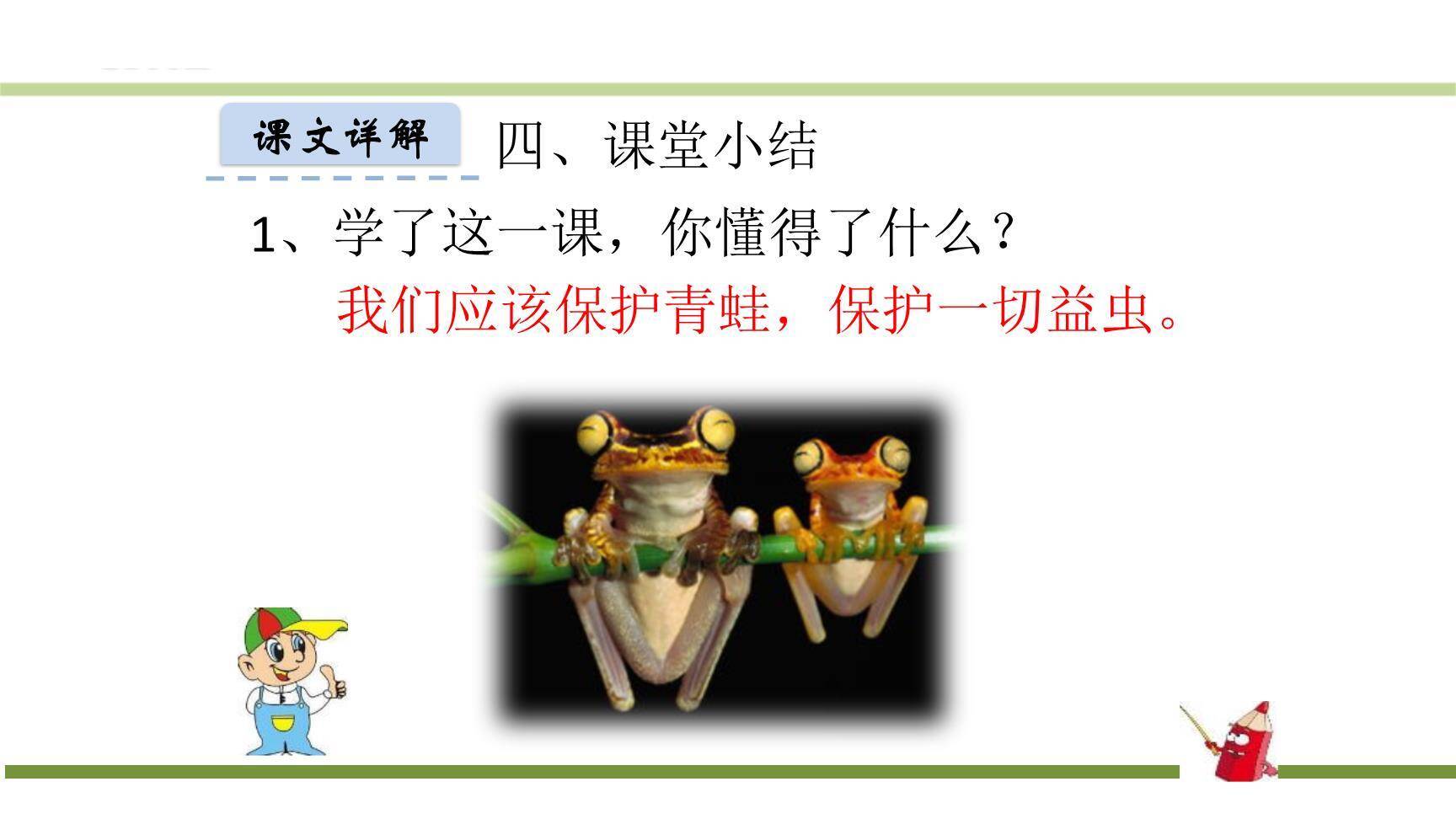 小青蛙PPT课件16