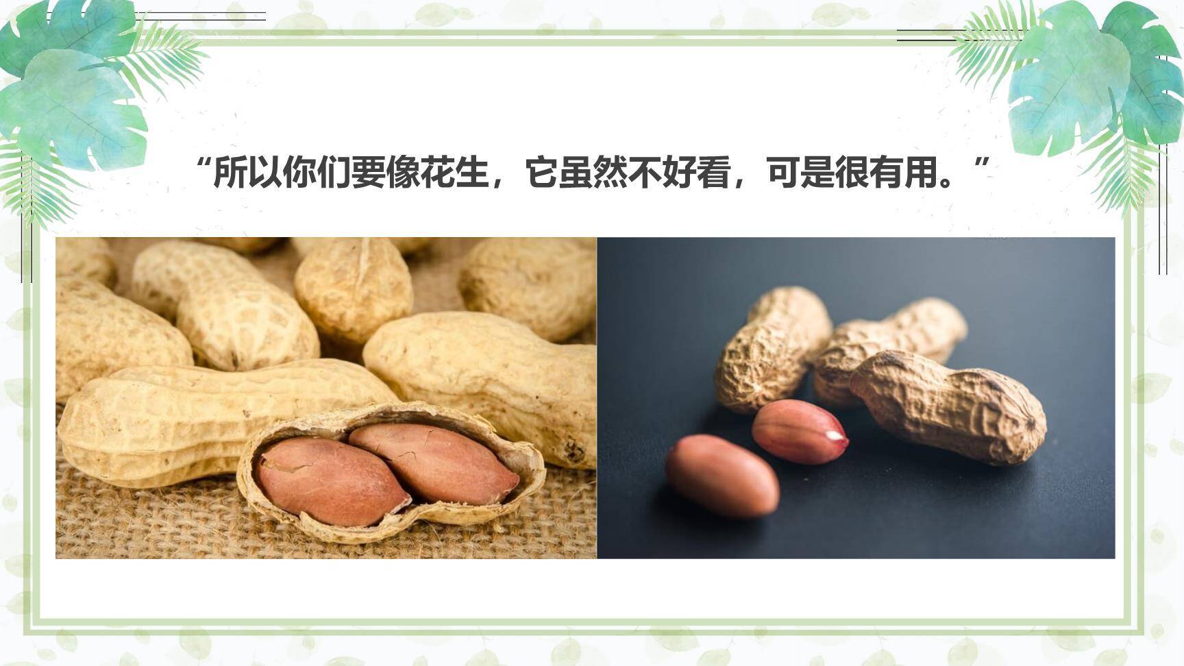 落花生PPT课件37