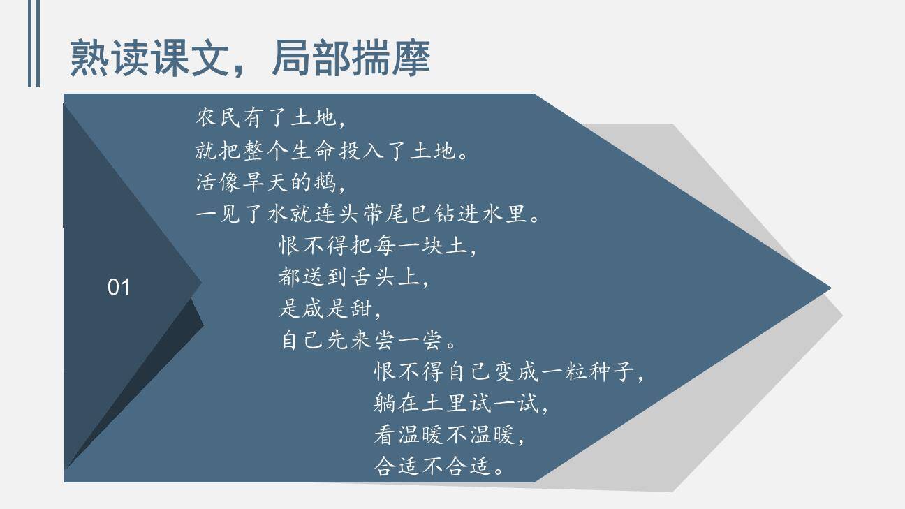 三黑和土地PPT课件43