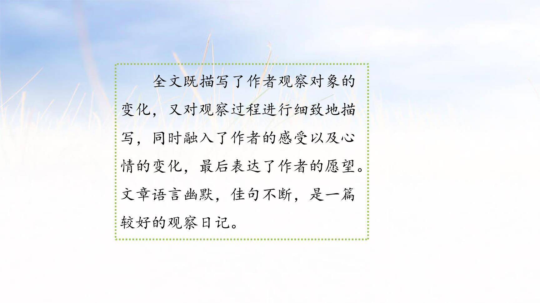 写观察日记PPT课件15