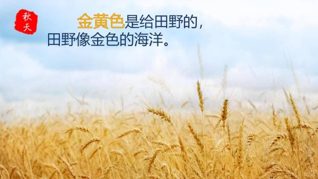 秋天的雨PPT课件24