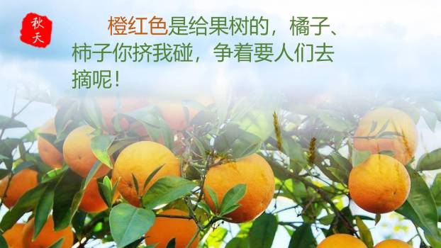 秋天的雨PPT课件25