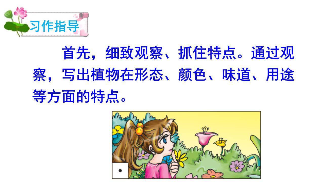 我的植物朋友PPT课件55