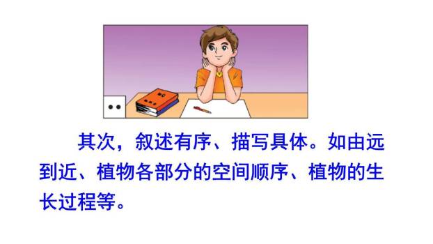 我的植物朋友PPT课件56