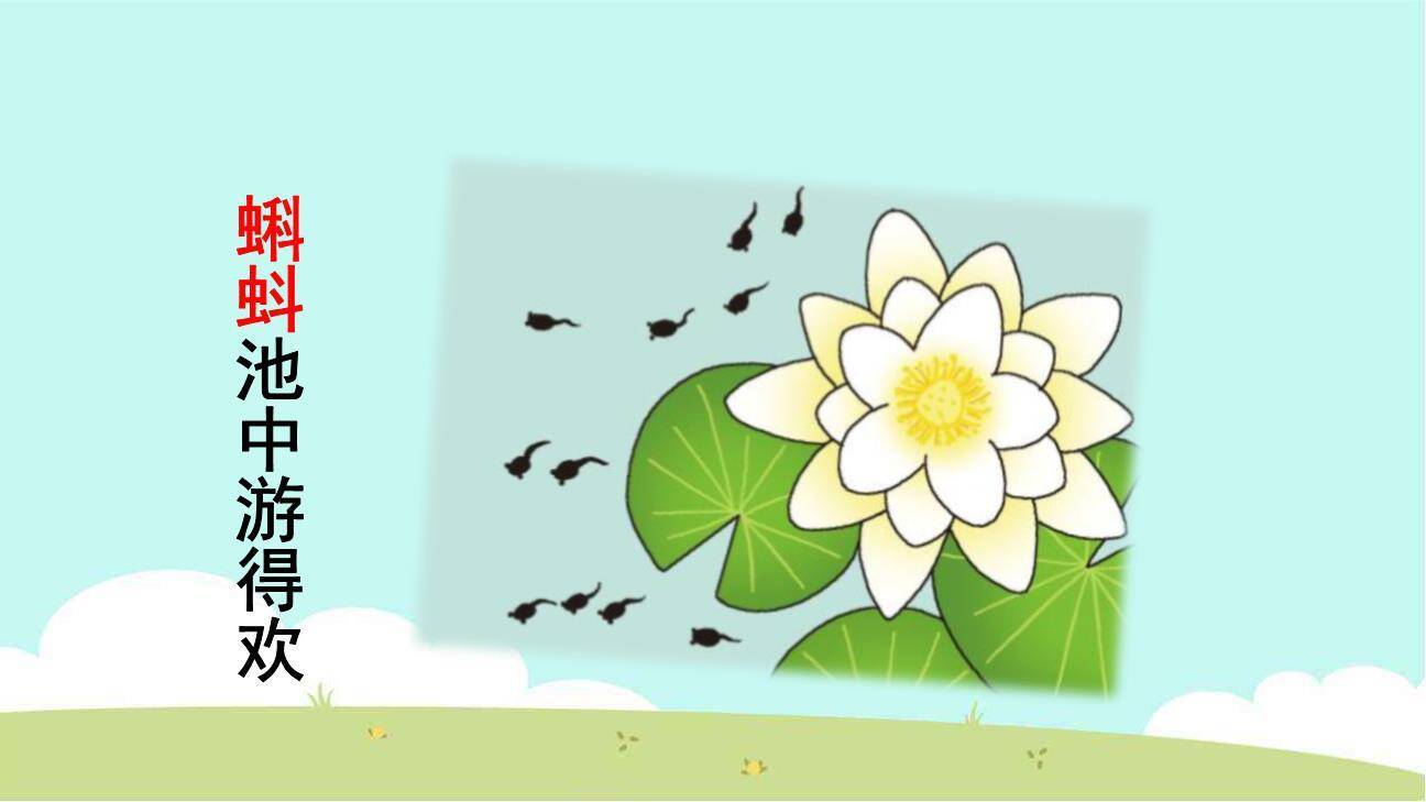 动物儿歌PPT课件43