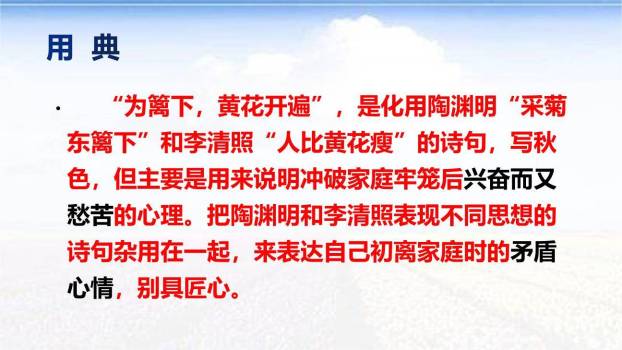 满江红PPT课件31