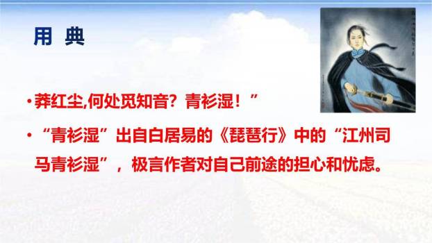 满江红PPT课件33