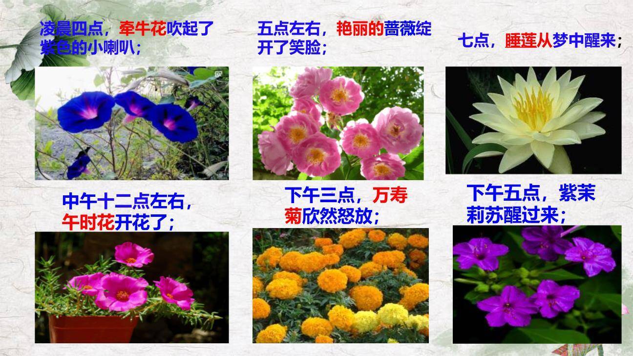 花钟PPT课件41