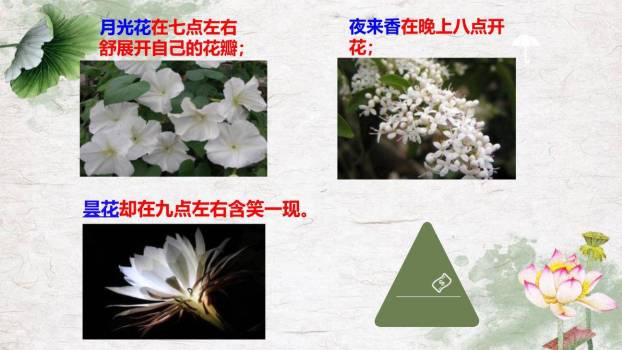 花钟PPT课件42