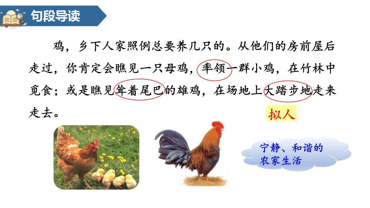 乡下人家PPT课件77