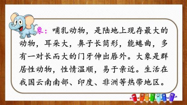 大象的耳朵PPT课件59