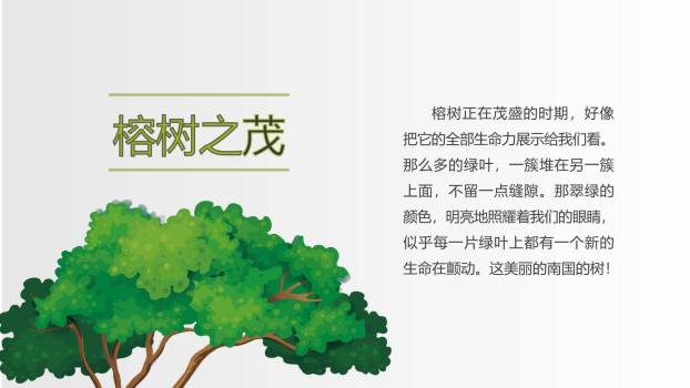 鸟的天堂PPT课件54