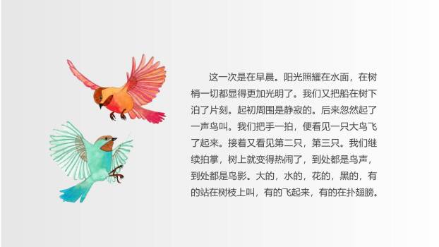 鸟的天堂PPT课件56