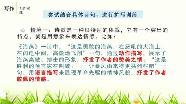 学习扩写PPT课件62