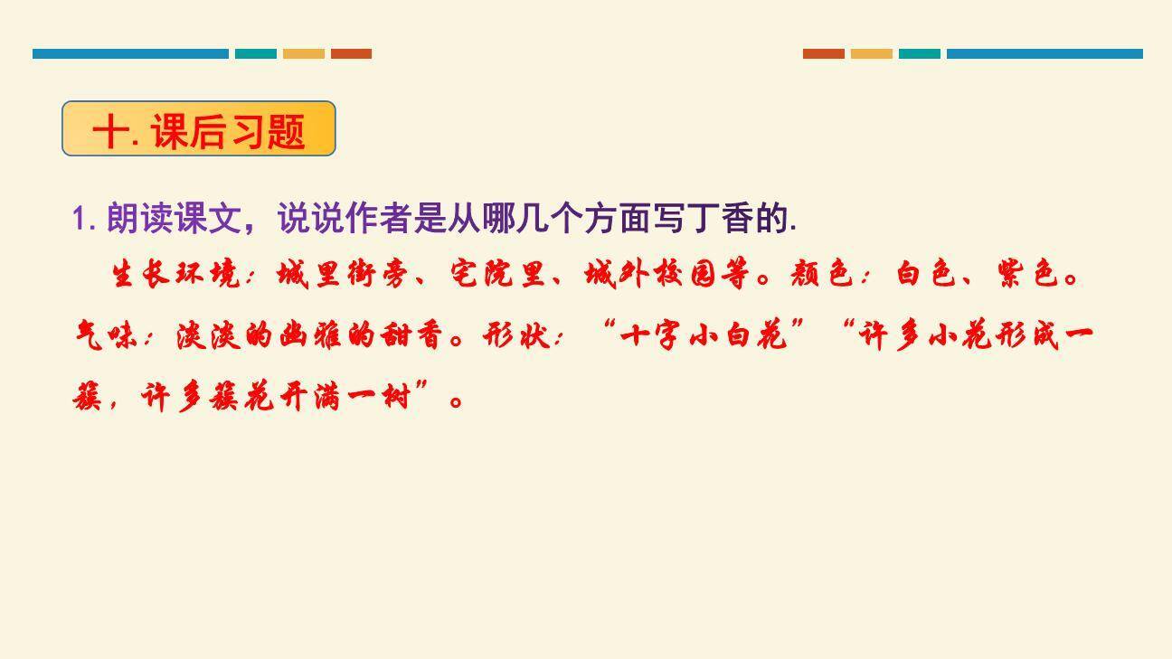 丁香结PPT课件37