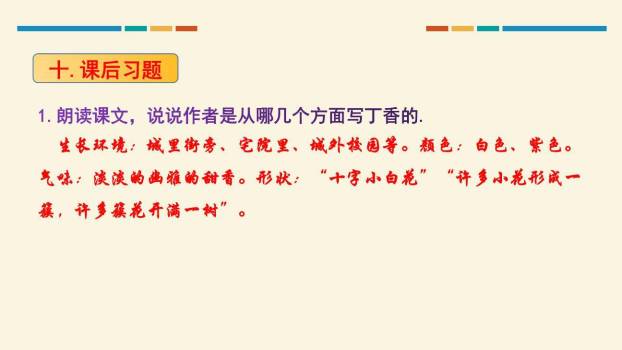 丁香结PPT课件37