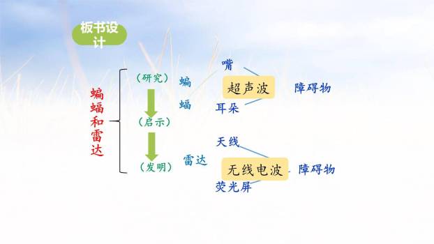 蝙蝠与雷达PPT课件19