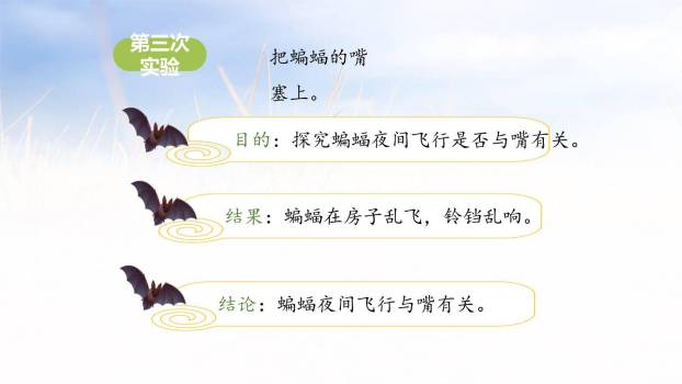 蝙蝠与雷达PPT课件12