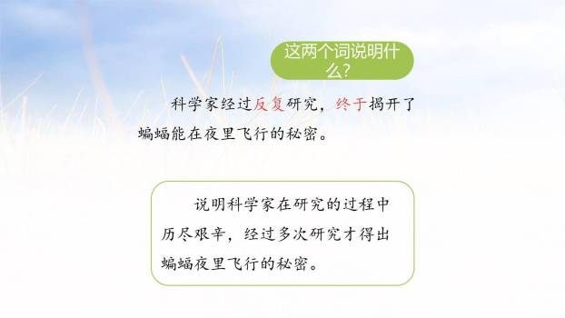 蝙蝠与雷达PPT课件14