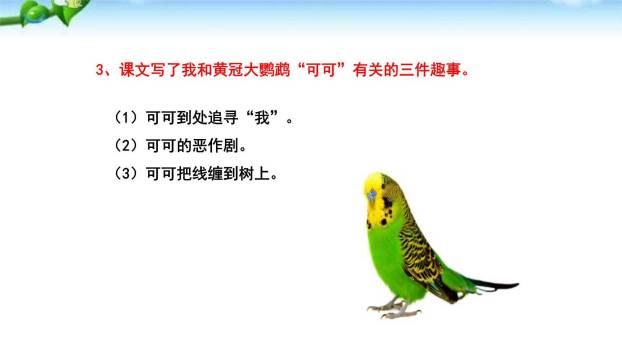 动物笑谈PPT课件78