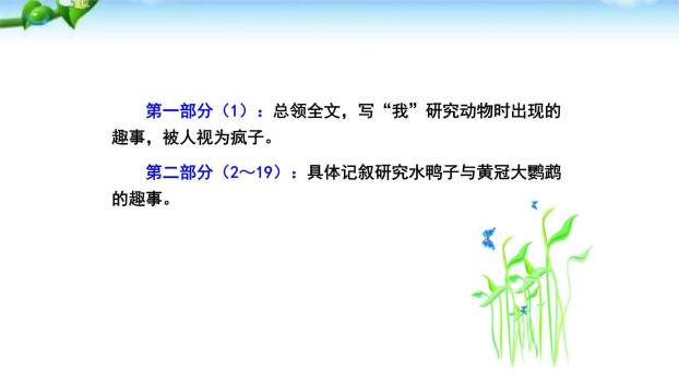 动物笑谈PPT课件72