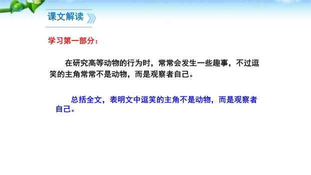 动物笑谈PPT课件73