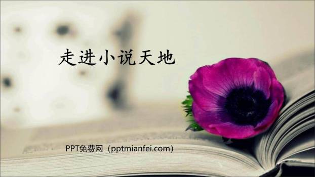 走进小说天地PPT课件10