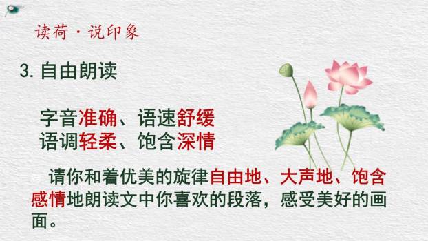 荷花母亲PPT课件41