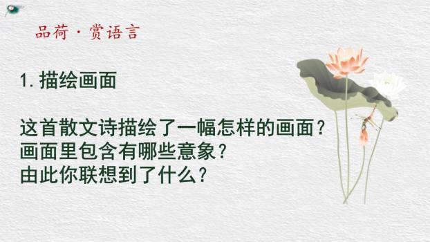 荷花母亲PPT课件43