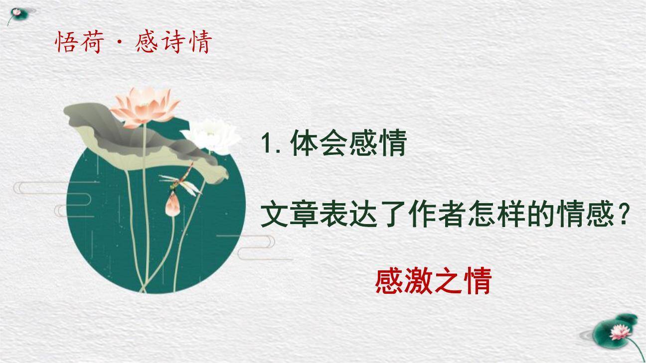 荷花母亲PPT课件46