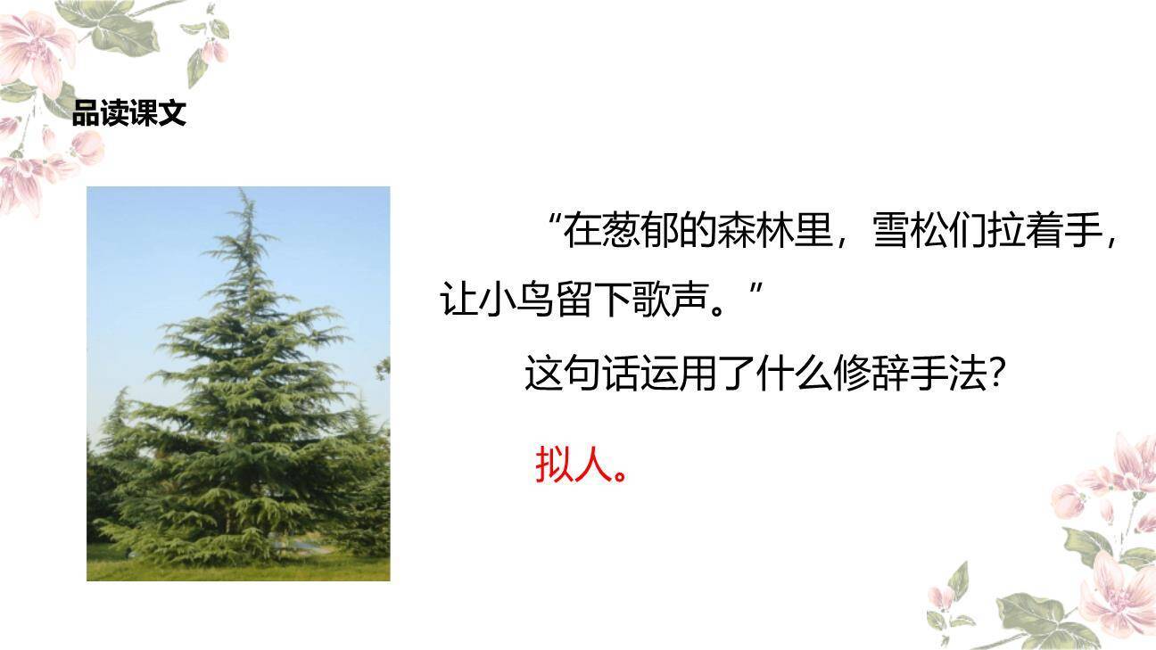 彩色的梦PPT课件21