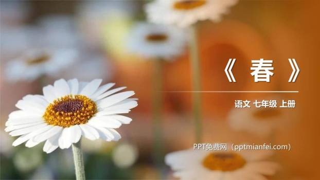 春PPT课件50