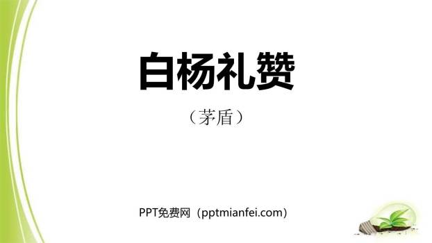 白杨礼赞PPT课件30
