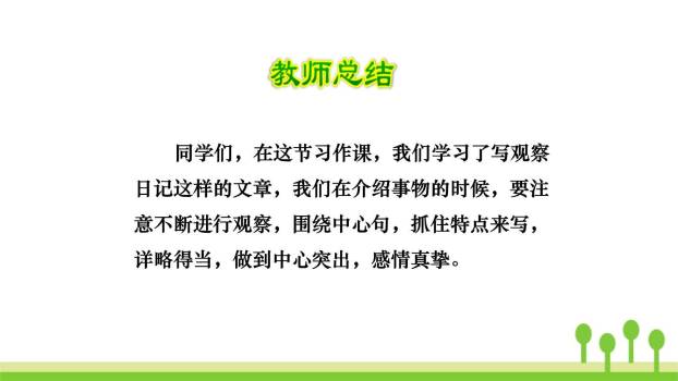 写观察日记PPT课件38